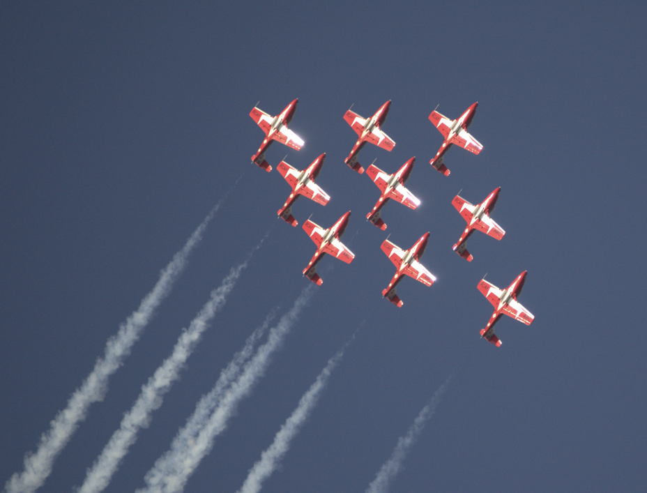 Snowbirds
